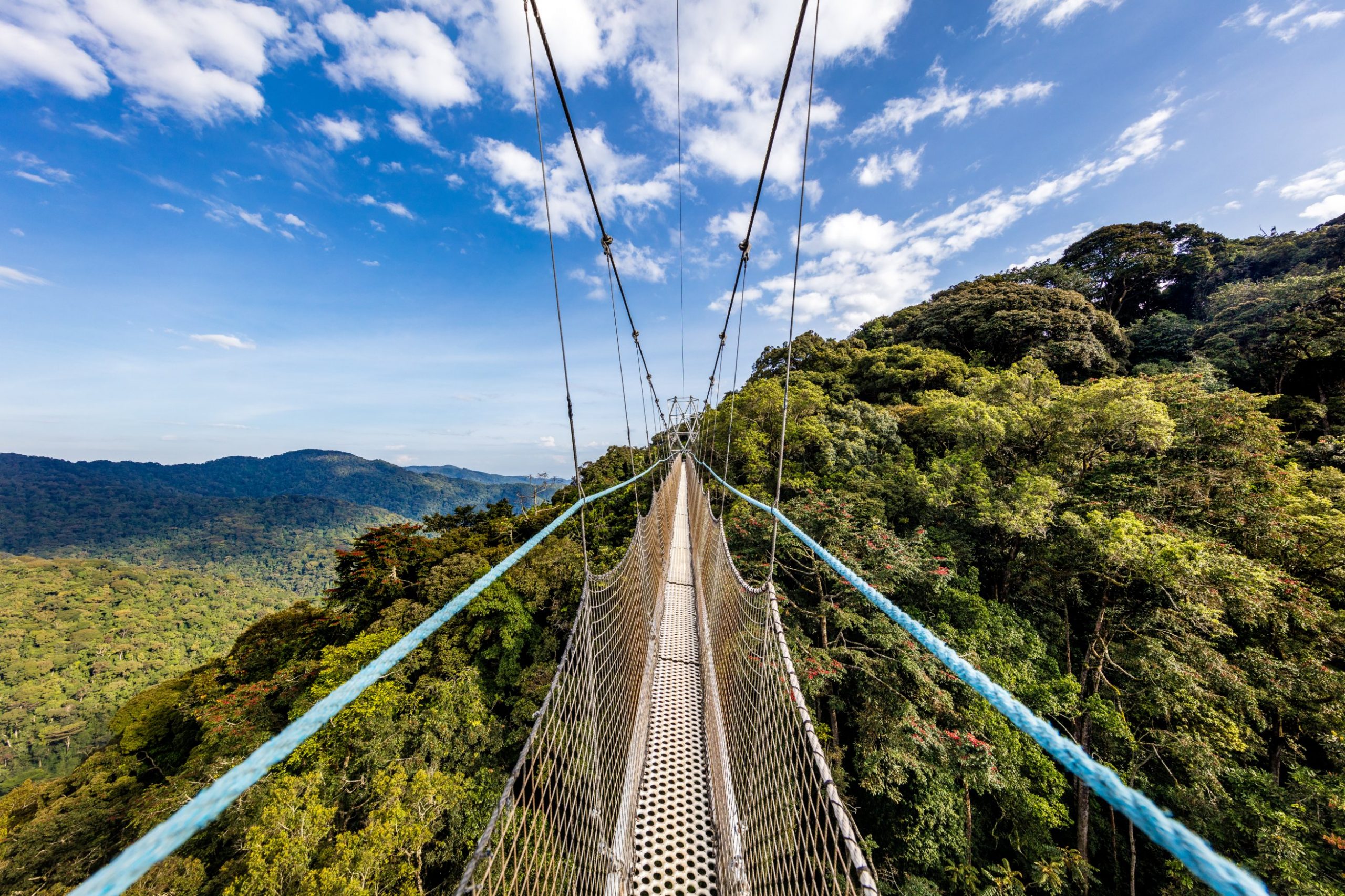 3-Day Chimpanzee & Canopy Walk Adventure